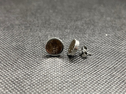 Meteorite Dust Earrings